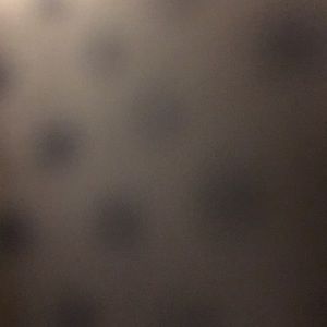 Meet your Posher, Faith